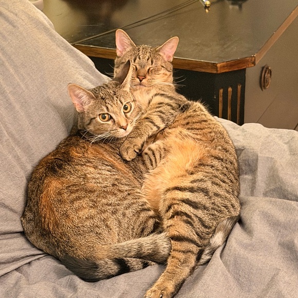 Meet your Posher, Christine - Picture 11 of 15